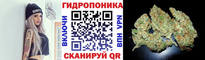 Где найти наркотики Дигора Cocaine  Мефедрон  Alpha PVP  ГАШИШ 