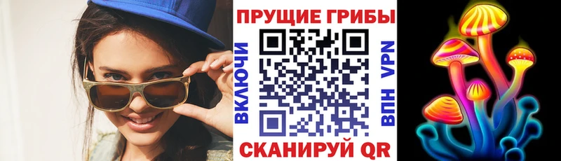 Псилоцибиновые грибы Magic Shrooms  Дигора 